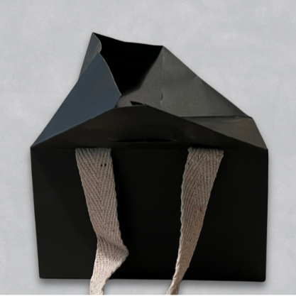 Takeaway Bag : Bag in a box