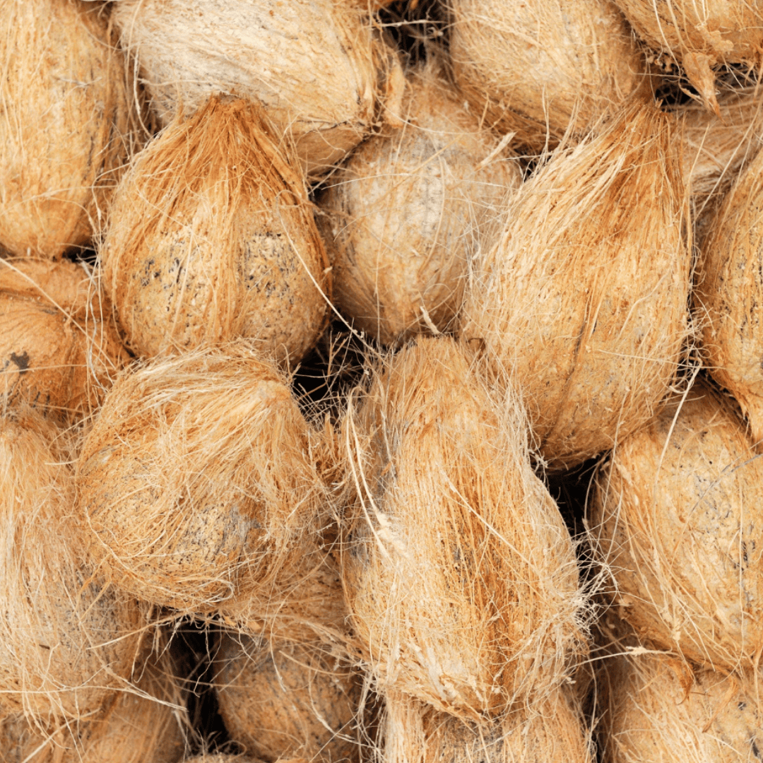 Close-up of a bundle of coir rope